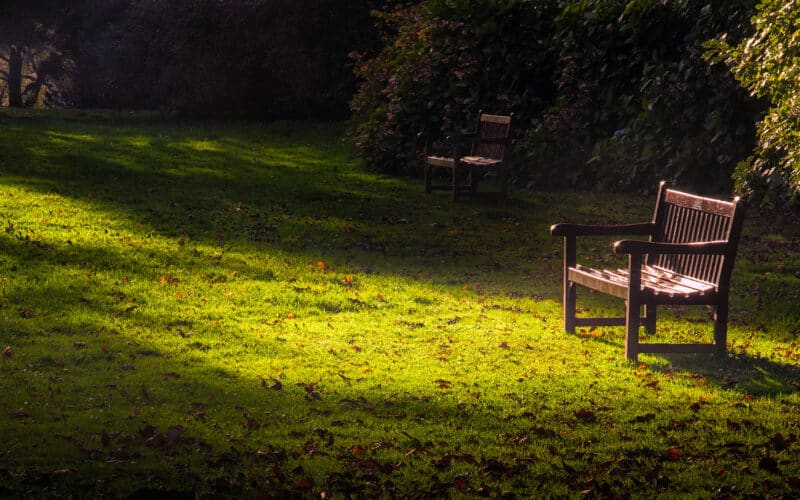 A,Quiet,Spot,For,A,Remembrance,Bench,At,Clyne,Park